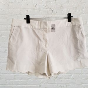 New Loft White Riveria Scalloped Shorts sz 12